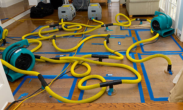Professional Basement Flood Cleanup technician working in Freeport, ME